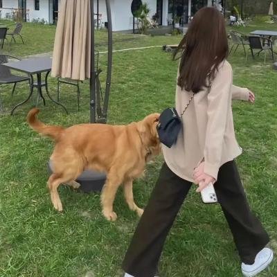 假如我是真的